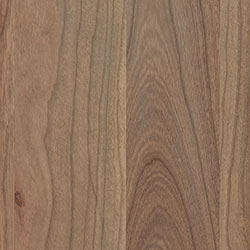 RH Yoder Finish Cherry - Seashell (D22N09096)