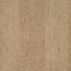 RH Yoder Finish Hard Maple - PCL Seashell (D22N09096)