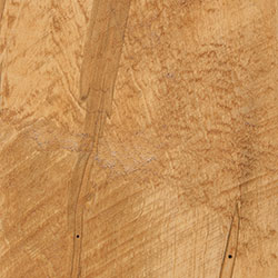 RH Yoder Finish Rough Sawn Wormy Maple - PCL Honey (D22N13037)