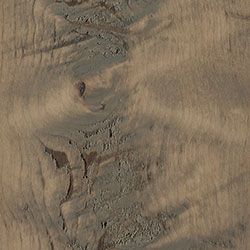 RH Yoder Finish Rough Sawn Wormy Maple - Seashell (D22N09096)