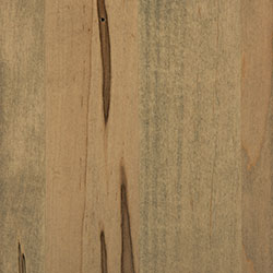 RH Yoder Finish Wormy Maple - Seashell (D22N09096)